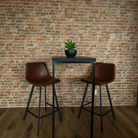 New Designer With Large Terrace * Ceske Budejovice
